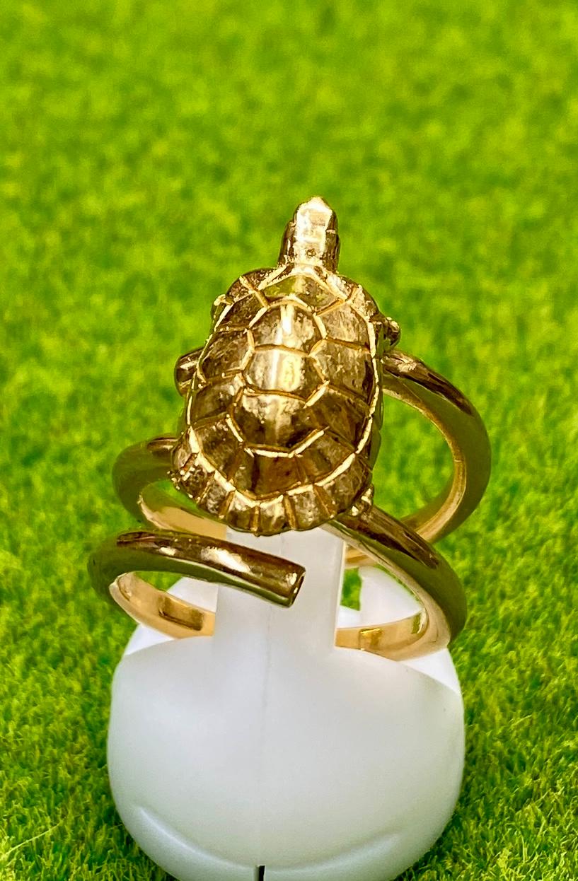 コイルリングの上にイシガメ　ロジウムメッキ仕様　＃９ | 3枚目